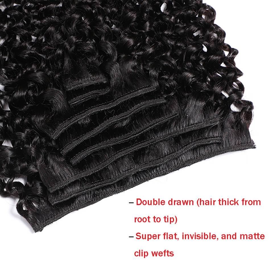 Kinky Curly Clip In Human Hair - đánh giá và giá Seamless Clip In Hair Extensions Human Hair